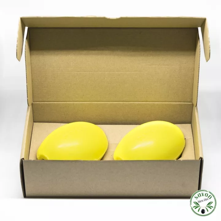 Recharge 2 savons rotatifs pour porte savon mural à vis Provendi