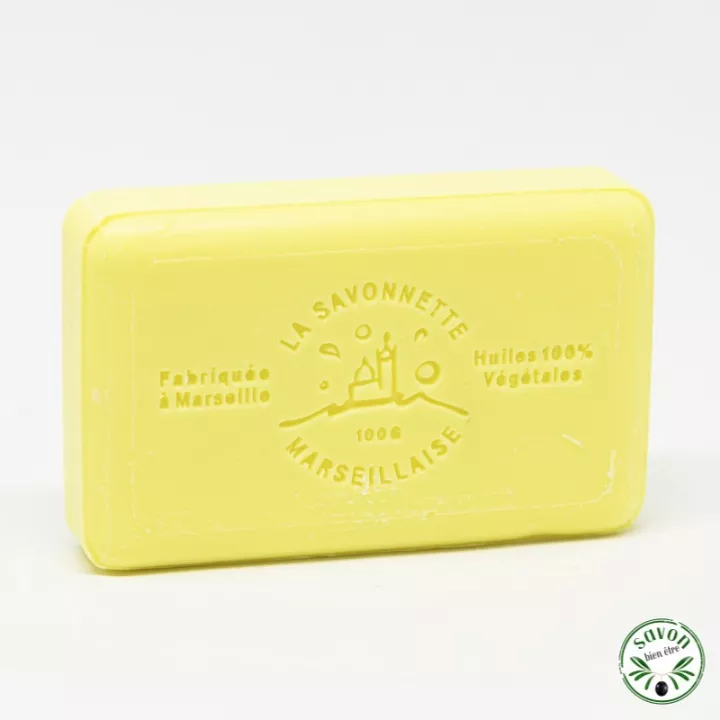 Savon au lait d’ânesse frais et bio – Nature