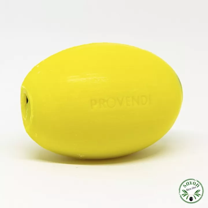 Recharge de 2 savons rotatifs pour porte savon mural