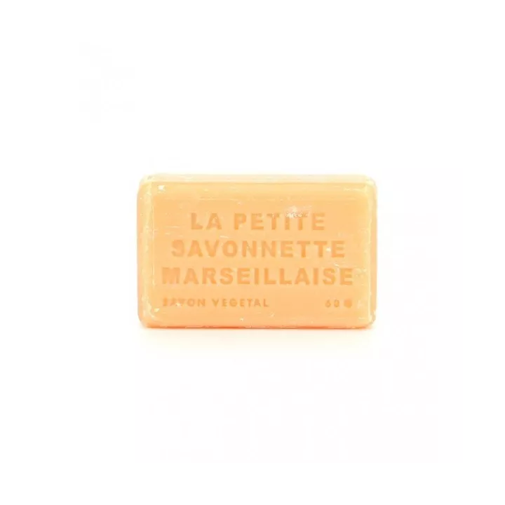 Mini savon - Melon au beurre de karité bio