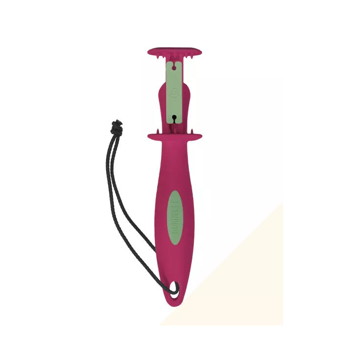 Porte savon et poignée à savon Dornelle