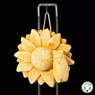 Scented plaster diffuser - Soleil Cigalle