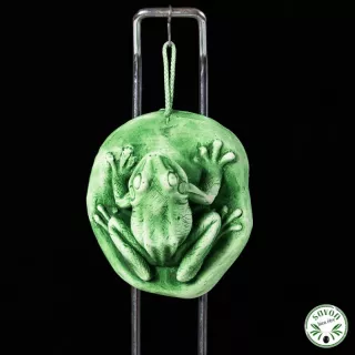 Duftender Gipsdiffusor - Frosch