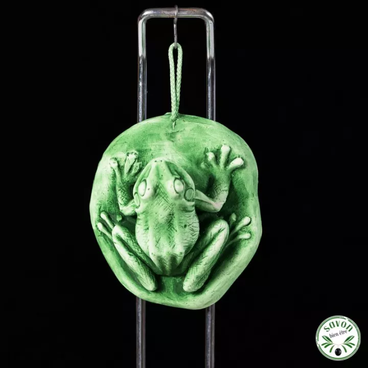 Duftender Gipsdiffusor - Frosch