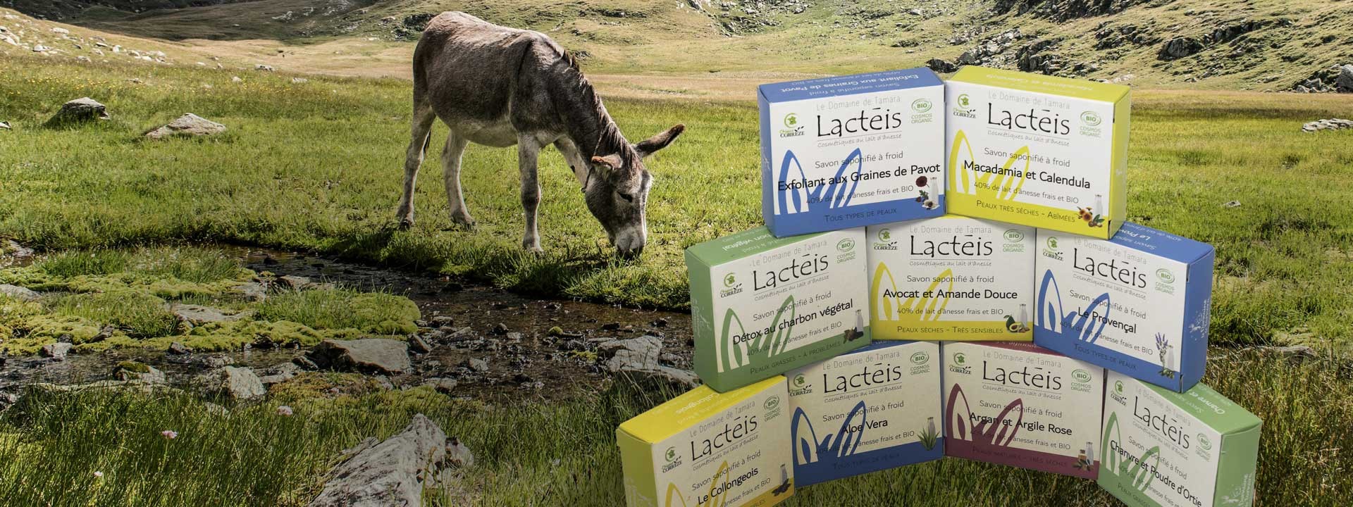 40% de lait d'ânessse frais et bio